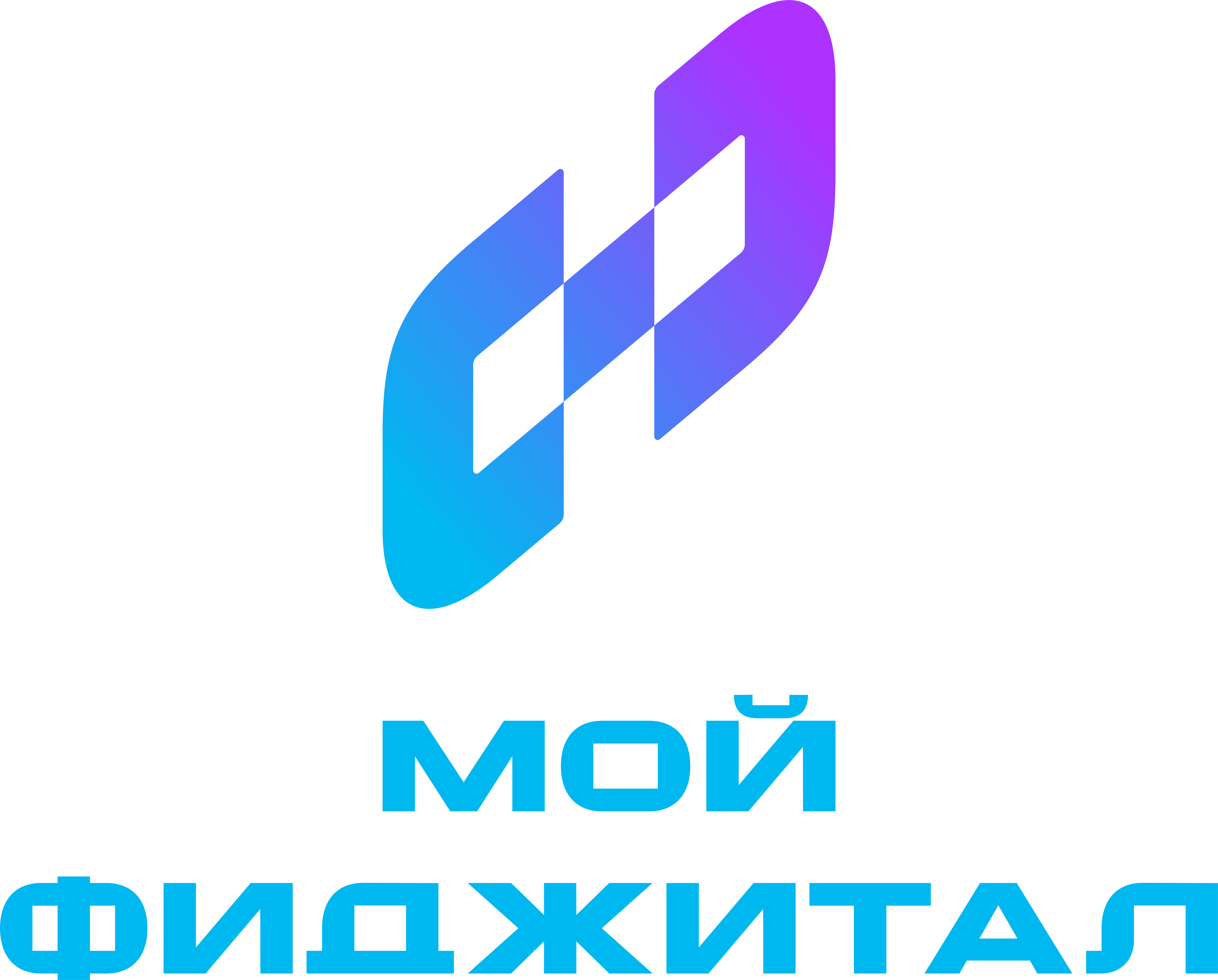 мой фиджитал